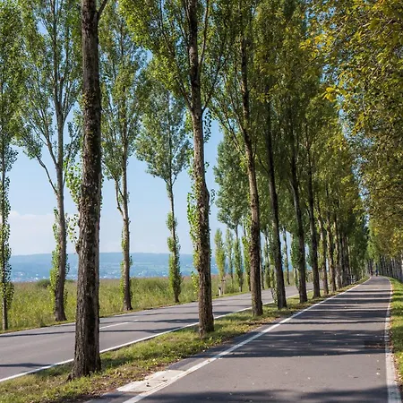 Strandhotel Loechnerhaus Île de Reichenau