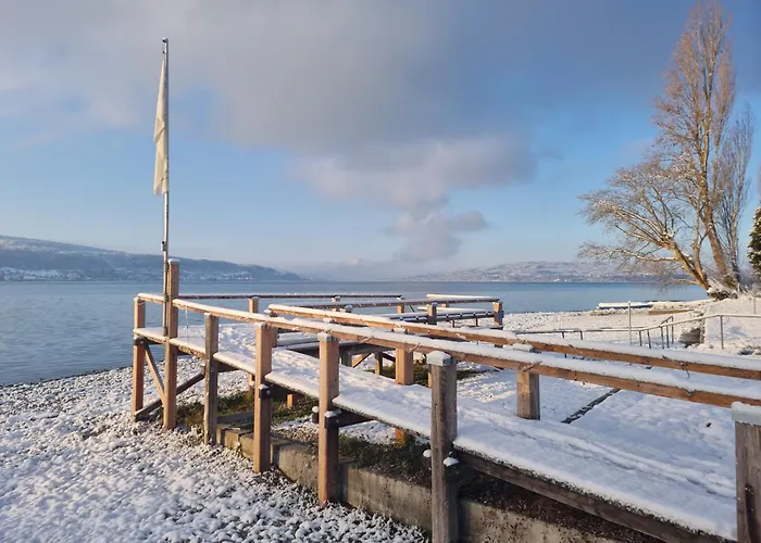 Strandhotel Loechnerhaus 赖歇瑙