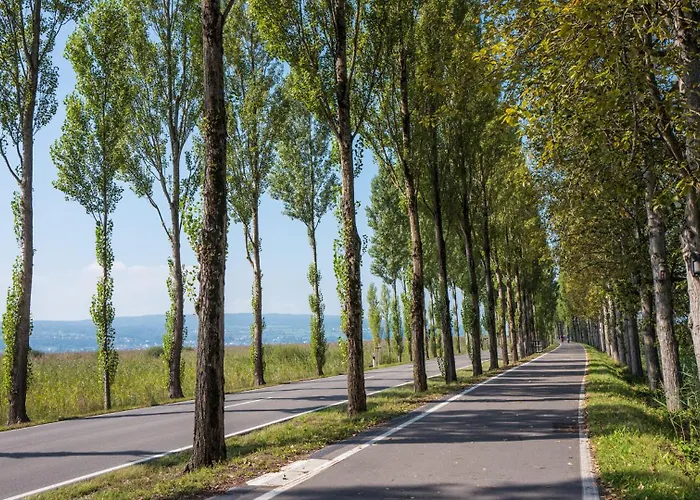 Strandhotel Loechnerhaus 赖歇瑙